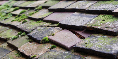 Pentrebane roof repair costs